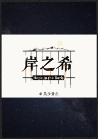 岸之美产品使用心得